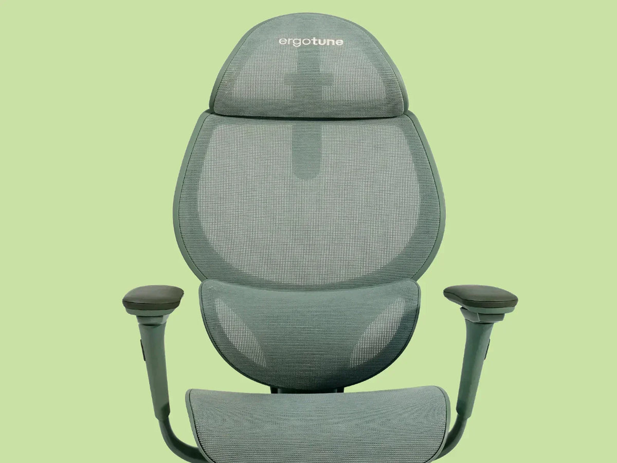 The 3-Year Journey To Perfecting Our ergotune Vesby