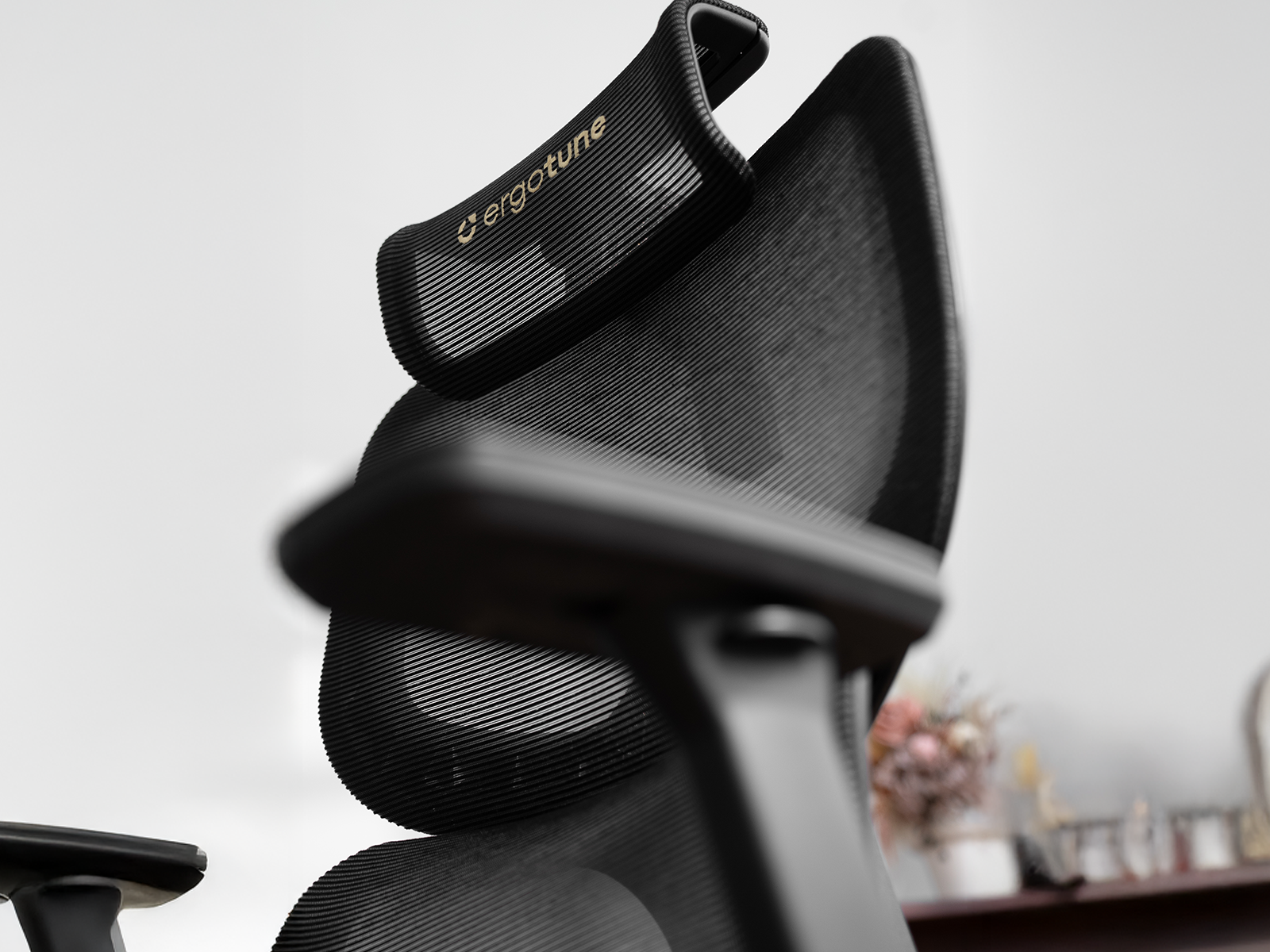 ergotune Joobie Lite